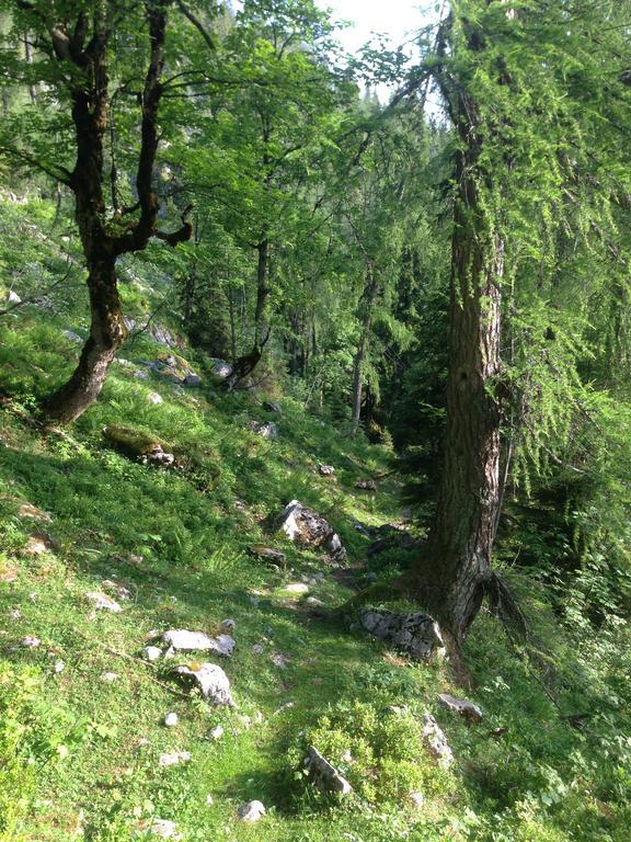 Alte Zimmerei - Лофер Екстер'єр фото